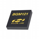 BGM121N256V2參考圖片