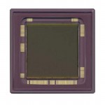 CYIL1SM4000AA-GDC參考圖片